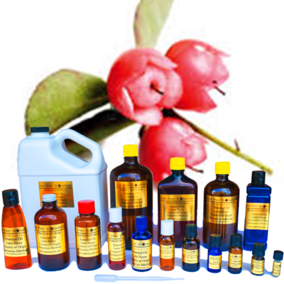 #ad Wintergreen Essential Oil 100% PURE NATURAL Sizes 3 ml to 3 Gallons WHOLESALE $788.38