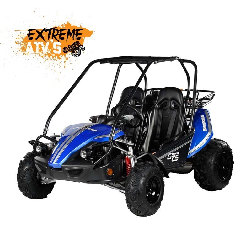 Hammerhead™ GTS 150 Off Road Buggy UK