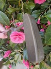 Rare And Collectable Ping Anser Dalehead 85029 — photo 3