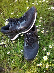 asics gel nimbus 20 42 5