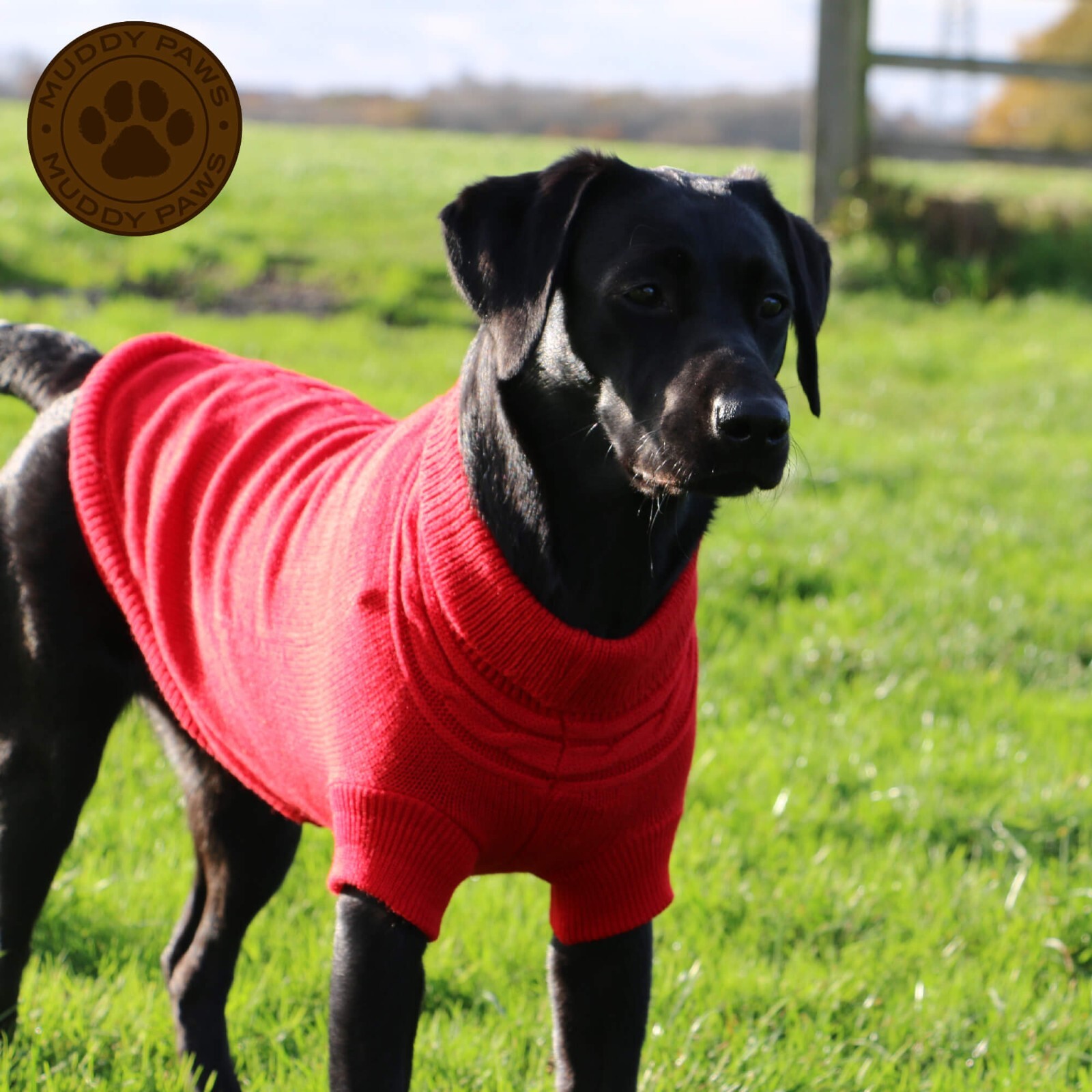 Ancol Muddy Paws Cable Knit Jumper (40cm) Medium Red Dog Coats Jackets