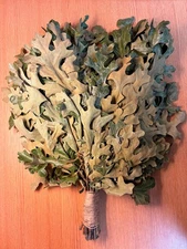 Oak Sauna Whisk Banya Venik Broom Дубовый Веник Для Бани Birkenreisige Vihta USA