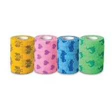 Cohesive Bandage CoFlex NL 2 Inch X 5 Yard Standard Co