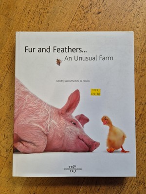 Fur & Feathers... An Unusual Farm animal photographs farm animals photography