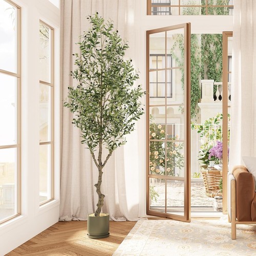 Premium Quality Potted 8ft Olive Tree with Bendable Branches - No Maintenance - Picture 8 of 11
