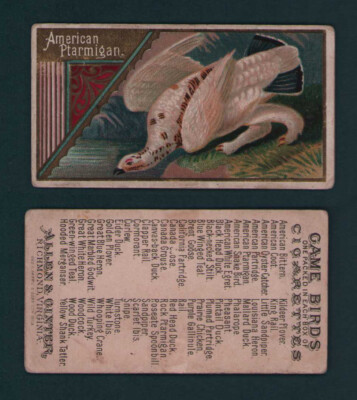 1889 Allen & Ginter - N13 Game Birds Tobacco Cards - U Pick | eBay