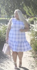 Asos Plaid Blue And White Plus Size Dress - Size 22