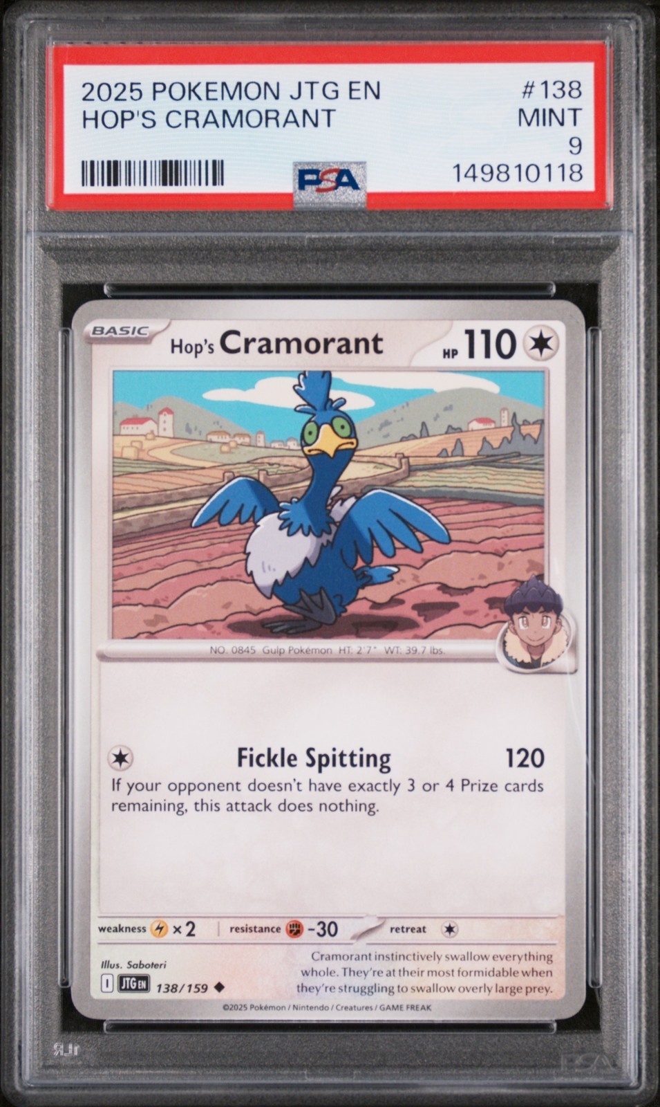 Hop's Cramorant #138