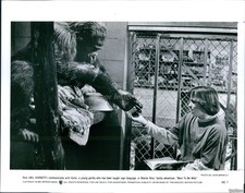 1995 Wil Horneff Communicate Kate Young Gorilla Born To Be Wild Photo 8X10