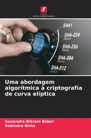Uma Abordagem AlgoríTmica à Criptografia De Curva ElíPtica Bidari (U. A.) Buch