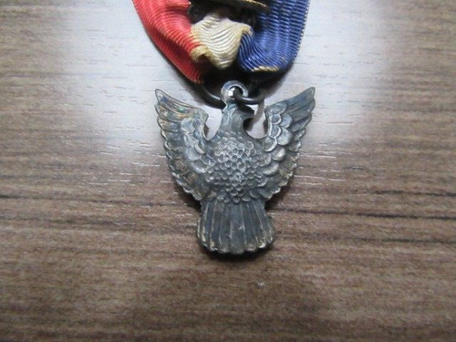 Eagle Scout Award Medaille mit 2 Palmen, Rob 3 IN4 - Bild 2 von 2