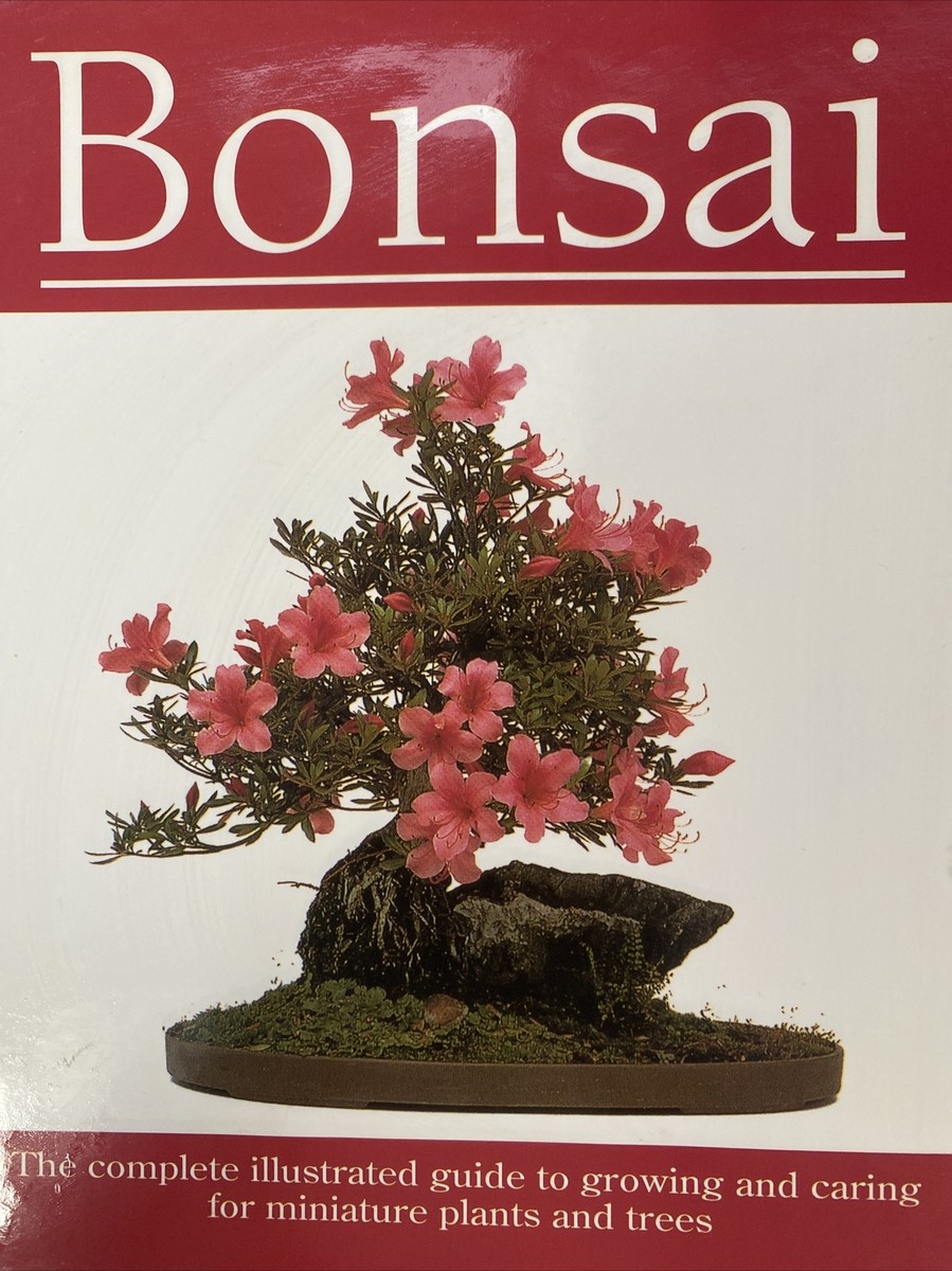 dingmu bonsai tools DINGMU 8 in Branch Cutter  Allshapes Bonsai