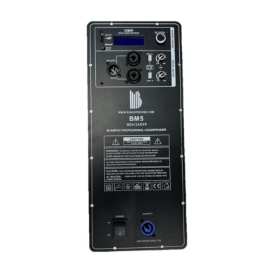 1200W DSP Plattenverstärker Bluetooth Bi Amp Aktivlautsprecher BishopSound - BM5
