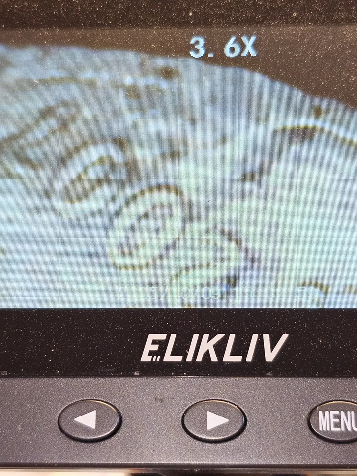 2007-P Roosevelt Dime Obverse Die Break - Image 3 of 4