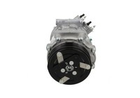Bv Psh Kompressor, Klimaanlage 090.225.043.200 FüR CitroËN Ds Opel Peugeot