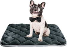 Anti-Slip Dog Bed Mat - Machine Washable Crate Pad 36x23'', Grey