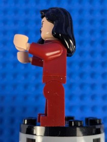 Lego Super Heroes: Batman II: Talia Al Ghul sh0291 Set 76056