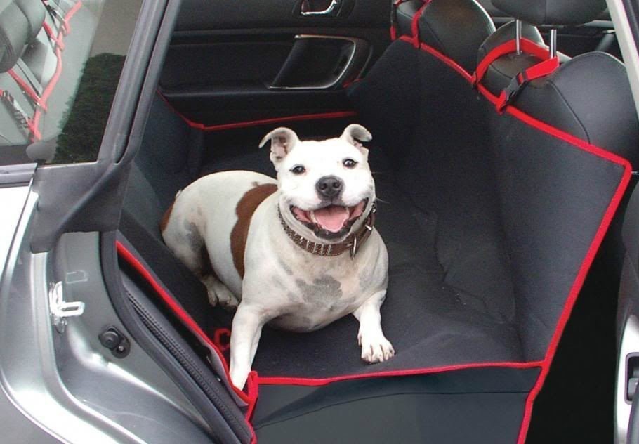 Dog Pet Rear Seat Hammock Protector Cover Waterproof Large for Car SUV