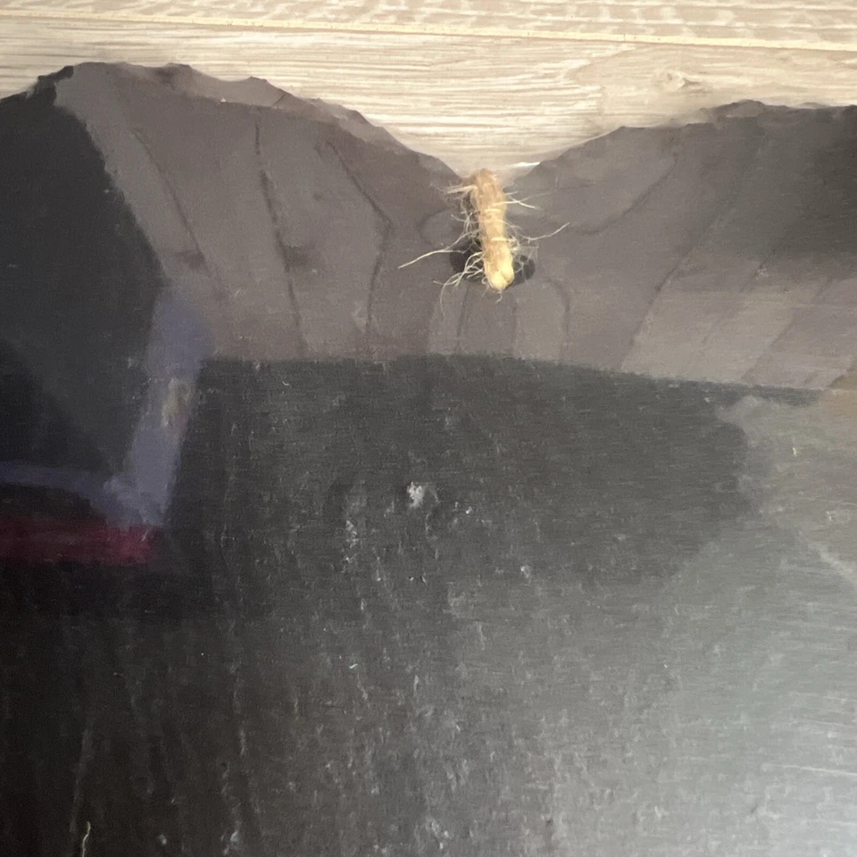 Slate Chalk Blackboard Heart Shape ❤️ Memos & Notes & Home Decor 20cm X 17cm - Image 2 of 4