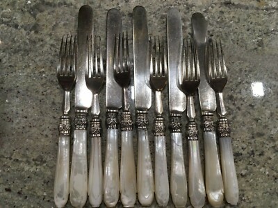 Besteck Perlmuttgriff tolles Set 19. Jhd. shabby chic Omas Küche 11-teilig