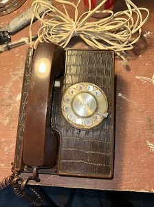 northernflicker1 on eBay