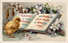 CERIST, 1 Cor.15.20, Sidney, New York Postcard