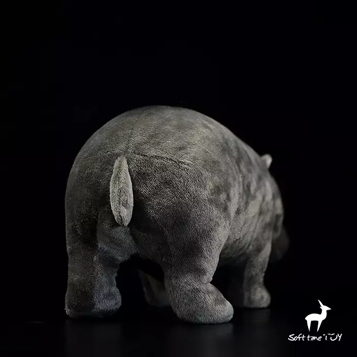 Foto 7 di 10