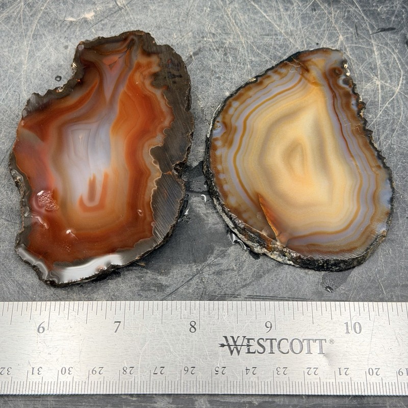 1 Brazilian And 1 Piranha Agate Slabs