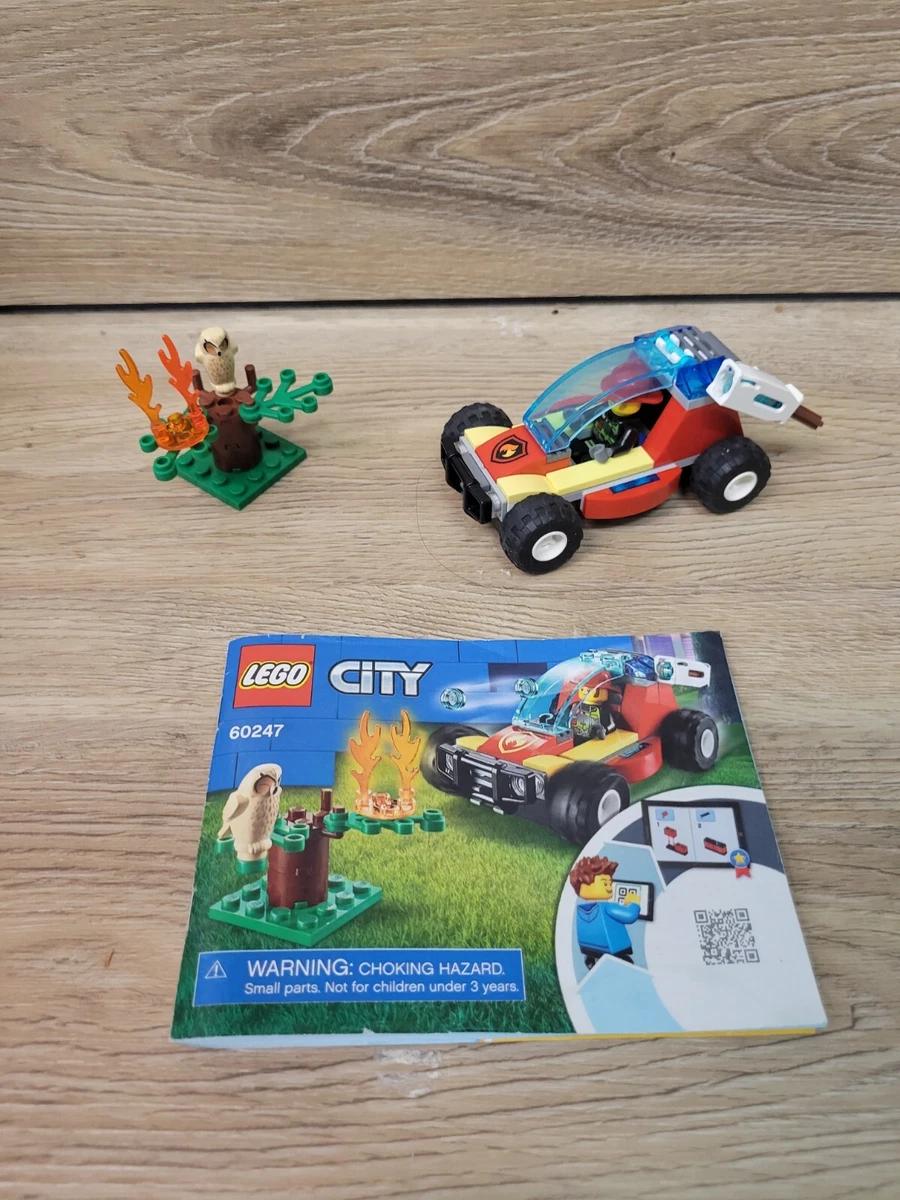 60247 lego hot sale