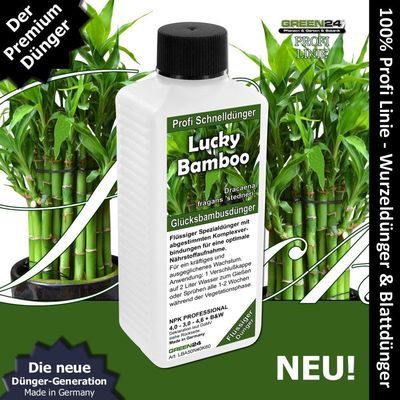 Glücksbambus Dünger Lucky Bamboo, spezieller HIGH-TECH NPK Volldünger Profi 