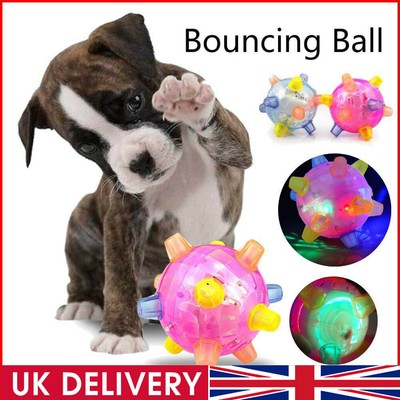 active jumping ball for dogs