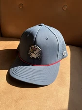 Branded Bills Blue Party Eagle Flat Bill Snap Back Elite Series Snap Back Hat