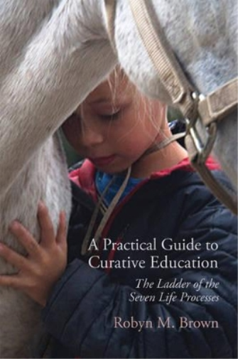 Robyn Brown A Practical Guide to Curative Education (Tascabile)