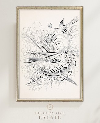 Art Print Calligraphy Black & White Sketch Birds Wall Home Decor Classy Poster