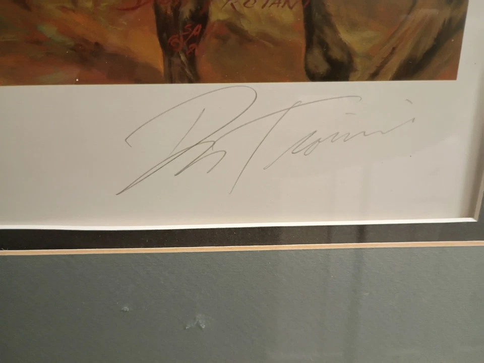 Дон Трояни - Южная сталь - печать времен гражданской войны - в рамке - Изображение 3 из 4