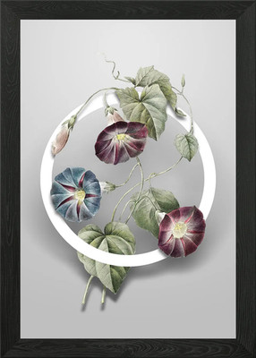 Morning Glory Blume Kunst Gerahmtes Wandbild Poster Leinwanddruck Bild