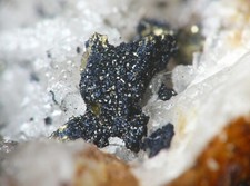 MM RARE MINERALS   COVELLITE micro cristalli con zolfo  Cascine Machetto