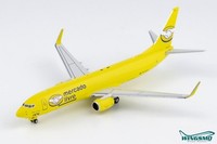 Ng Models Gol Linhas Aereas Boeing 737-800BCF PS-GFA 58159