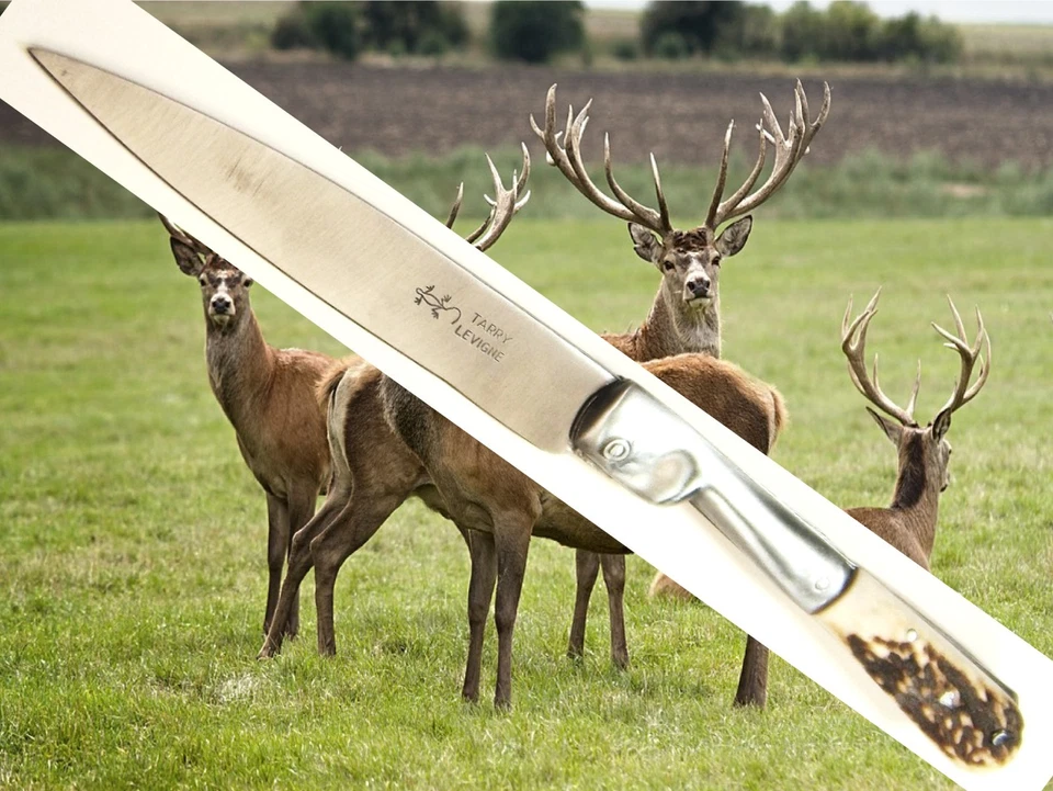 * ANCIEN COUTEAU PLIANT CORSE * TARRY LEVIGNE * THIERS * VÉRITABLE BOIS DE CERF - Photo 1/4