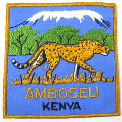 vintage Amboseli National Park Kenya Africa safari patch Mt Kilimanjaro Cheetah
