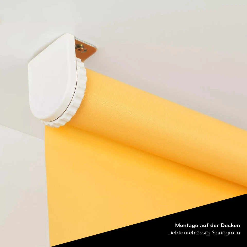 Springrollo Standard-Rollo Lichtdurchlässig Tageslicht Mittelzugrollo Zugrollo - Bild 2 von 4