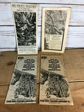 4 Vintage 1930s Stark Bro's Nurseries Orchard Fruit Trees Brochures Catalogs