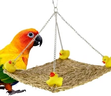 1554 Ducky Platform Bird Toy parrot cage toys cages african grey amazon swing