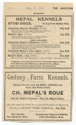 1910 Mepal Kennels Gedney Farm Cocker Spaniel Breeding Dog Antique Cutout Ad