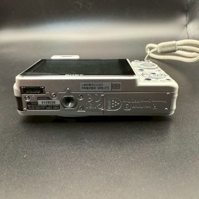 SONY Cyber-shot DSC-W170 Silver 10.1 MP 5x Digital Camera FROM