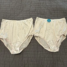 New Lot Of 2 Vintage Vanity Fair Nylon Brief Granny Panties Size 6 M RN16345