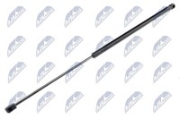 NTY Heckklappen DäMpfer Gasfeder Kofferraum AE-CT-034 FüR CitroËN C4 Picasso 1