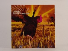 CATATONIA DEAD FROM THE WAIST DOWN (J62) 3 Track CD Single including Picture Sle