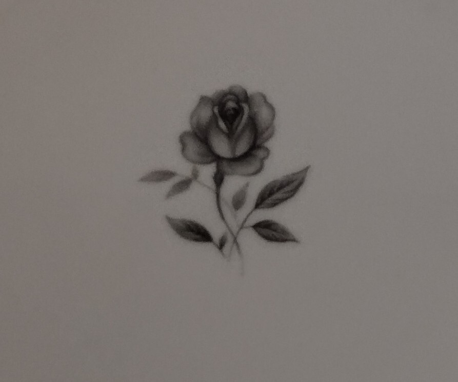 Empress China Rosemont 121 Japan Large Serving Bowl 9" Gray Rose Platinum Rim