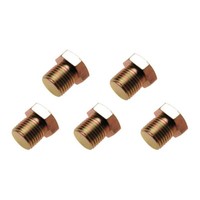 BGS-126-SM15 5 X M15X1,5 Ablassschrauben Passend FüR Bgs 126